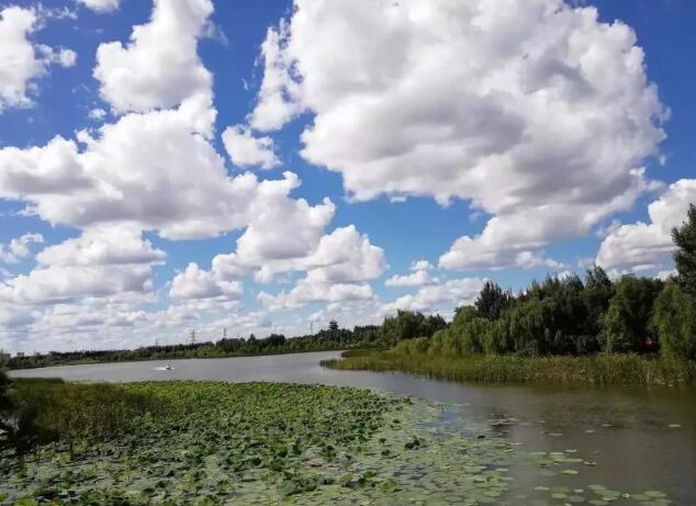 長春整體環(huán)境空氣質(zhì)量居東北省會城市首位