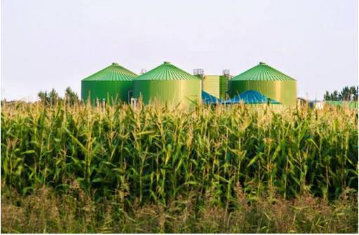 生物質(zhì)能源是作為理想的替代能源，將迎來爆發(fā)性的快速發(fā)展