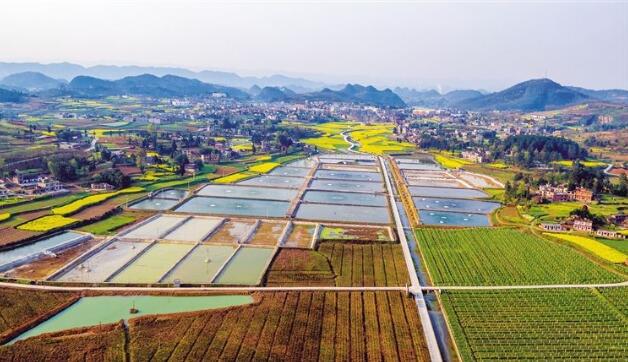 河北省政府出臺(tái)《關(guān)于做大做強(qiáng)農(nóng)業(yè)產(chǎn)業(yè)化龍頭企業(yè)的意見(jiàn)》，提出河北省農(nóng)業(yè)產(chǎn)業(yè)化發(fā)展目標(biāo)