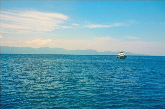 上半年全國(guó)海洋生產(chǎn)總值3.8萬億元，前5個(gè)月新修復(fù)濱海濕地484公頃??