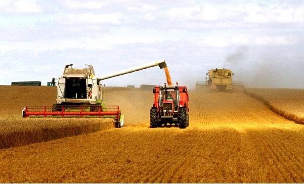 秋糧連續(xù)第六年糧食產(chǎn)量穩(wěn)定在6億噸，有信心應(yīng)對(duì)國(guó)內(nèi)外各種經(jīng)濟(jì)風(fēng)險(xiǎn)?