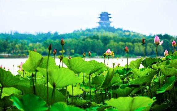 中國文旅產業(yè)的市場潛力龐大，未來市場空間有望達到2萬億元