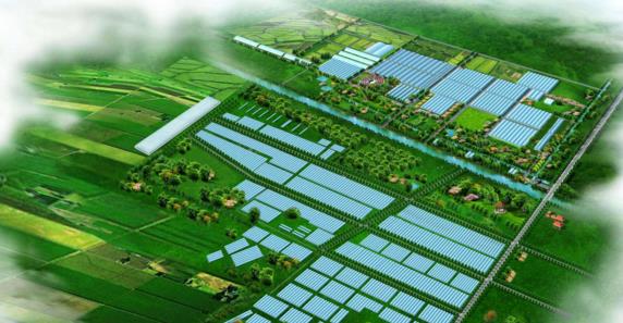 農(nóng)業(yè)資源循環(huán)利用(生態(tài)農(nóng)業(yè))項(xiàng)目可行性研究報(bào)告——優(yōu)化產(chǎn)業(yè)結(jié)構(gòu)促使項(xiàng)目成功落地