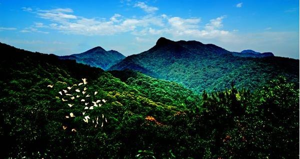 花都區(qū)出臺“白金十條”促進(jìn)旅游產(chǎn)業(yè)發(fā)展，最大一項政策獎勵達(dá)2000萬元???