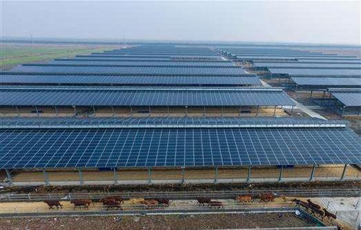 2019年，預(yù)計(jì)全社會用電量同比增長5%-8%，增長7%的概率較大??