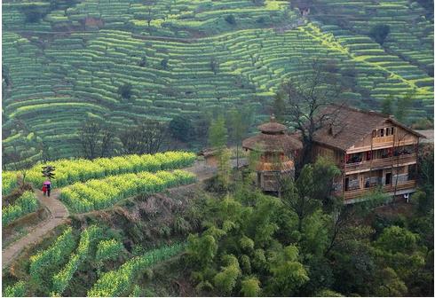 江西省扶貧辦：對269個深度貧困村共投入22.32億元，為深度貧困村脫貧退出提供支持?