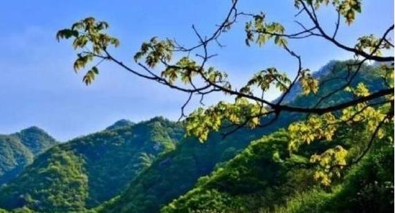 陜西省政府：印發(fā)《秦嶺生態(tài)環(huán)境保護(hù)行動(dòng)方案》，持之以恒有效保護(hù)秦嶺這一國(guó)家重要生態(tài)安全屏障