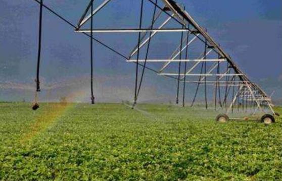 中共中央辦公廳、國(guó)務(wù)院辦公廳印發(fā)《關(guān)于促進(jìn)小農(nóng)戶和現(xiàn)代農(nóng)業(yè)發(fā)展有機(jī)銜接的意見》