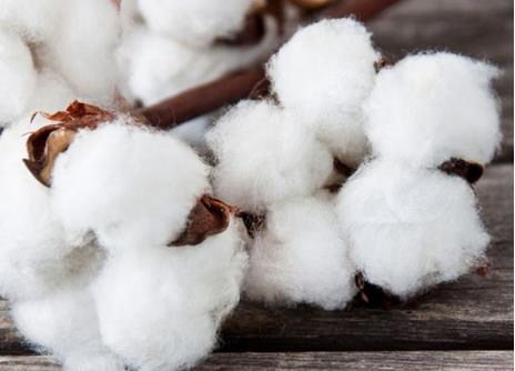2019年1月我國累計進口棉花27.99萬噸，環(huán)比增加27.87%