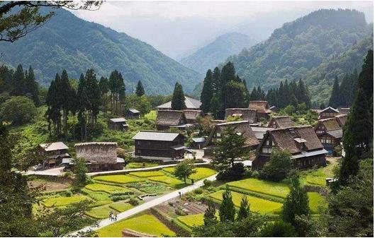 國務(wù)院：推動貧困地區(qū)產(chǎn)品和服務(wù)融入全國大市場，助力打贏脫貧攻堅戰(zhàn)、推進實施鄉(xiāng)村振興戰(zhàn)略?