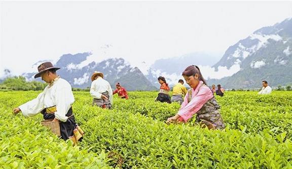 截至2018年底，西藏貧困人口已降至15萬人，貧困發(fā)生率下降到6%以下