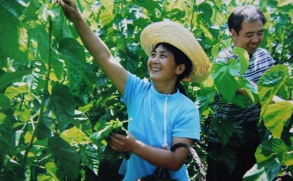 八桂大地續(xù)說蠶桑新故事——廣西蠶桑產(chǎn)業(yè)“十三五”發(fā)展成就側(cè)記