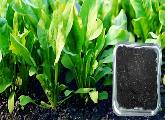 我國(guó)有機(jī)肥料使用占比較低，仍有很大的市場(chǎng)空間