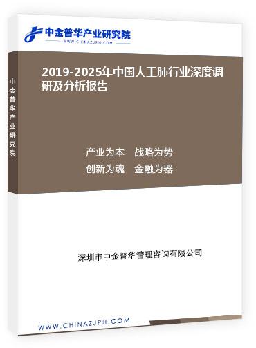2019-2025年中國(guó)人工肺行業(yè)深度調(diào)研及分析報(bào)告