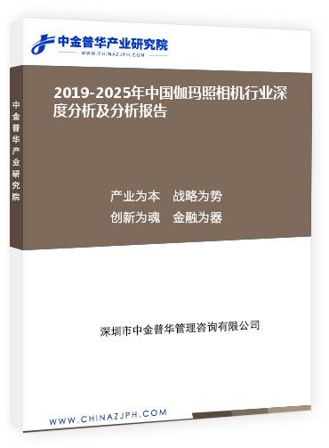 2019-2025年中國伽瑪照相機(jī)行業(yè)深度分析及分析報告