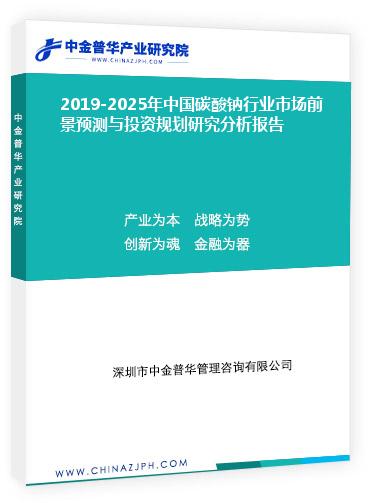 2019-2025年中國碳酸鈉行業(yè)市場前景預(yù)測及市場分析與投資規(guī)劃研究分析報告