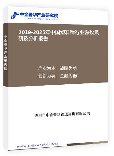 2019-2025年中國塑料棒行業(yè)深度調(diào)研及分析報(bào)告
