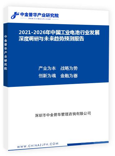 2021-2026年中國工業(yè)電池行業(yè)發(fā)展深度調研與未來趨勢預測報告