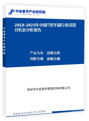 2019-2025年中國T型牙刷行業(yè)深度分析及分析報(bào)告